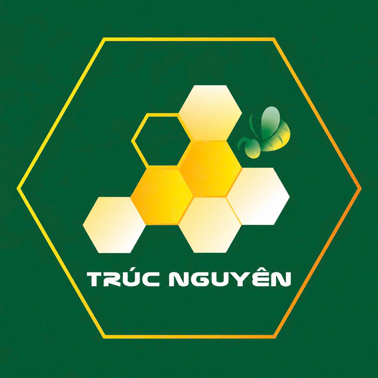 NPP Trúc Nguyên 