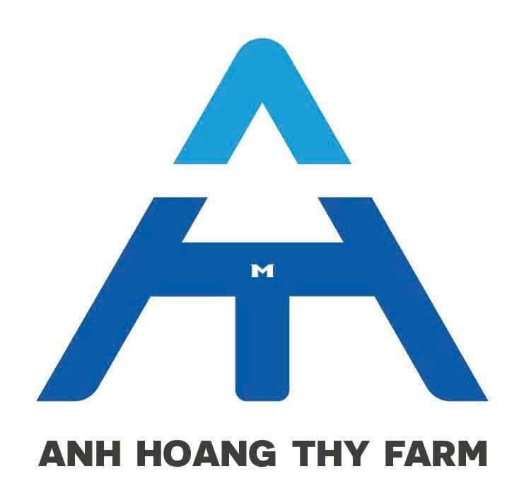 ANH HOANG THY FARM