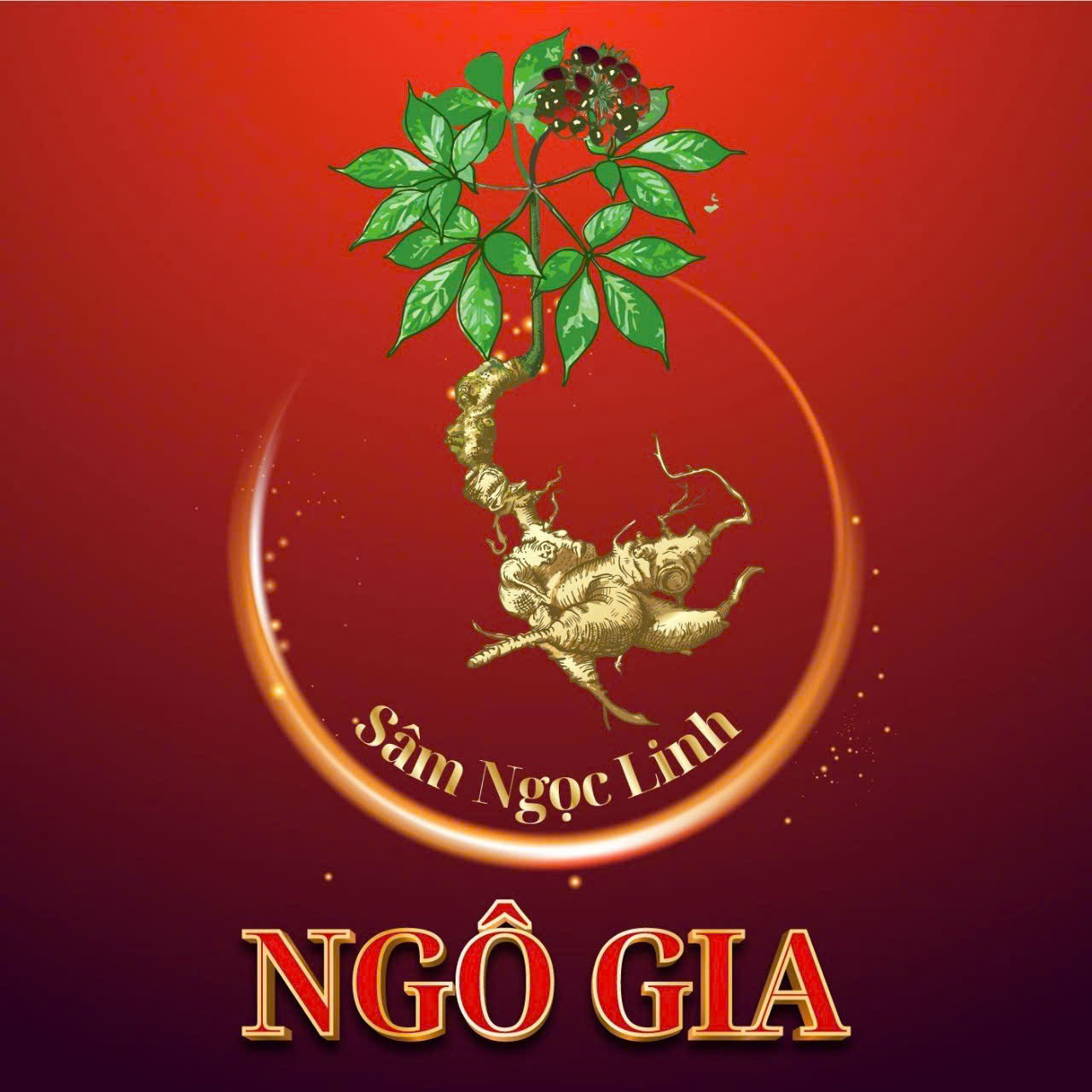 Ngô Gia