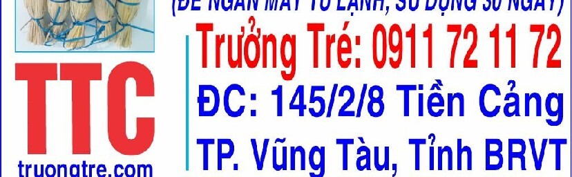 Trưởng Tré